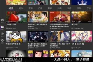 BBLL v1.4.4 B站第三方软件