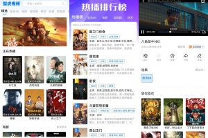 安卓壁虎视频v1.0.0.0绿化版