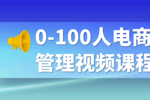 0-100人电商管理视频课程
