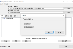 Enigma Virtual Box v10.50汉化版