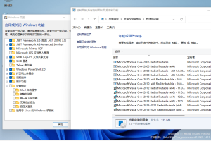小修Windows11 22000.2538专业版