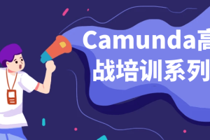 Camunda高级实战培训系列教程