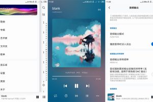 安卓椒盐音乐播放器v8.16.0