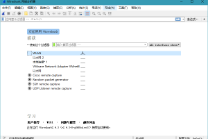 Wireshark v4.0.10绿色便携版