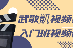 武敬�P视频剪辑入门班视频课程