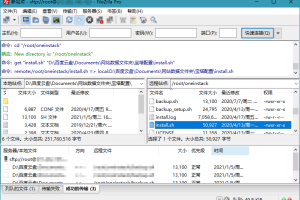 FileZilla PRO v3.66.1专业版