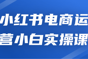 小红书电商运营小白实操课