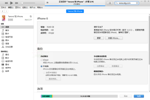 苹果iTunes v12.13.0.9 / 12.6.5.3