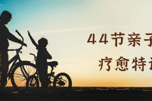 44节亲子关系疗愈特训营