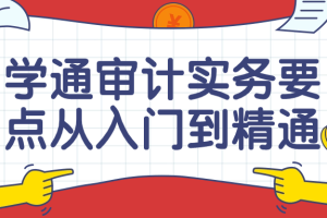 学通审计实务要点从入门到精通课