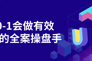 从0-1会做有效流量的全案操盘手