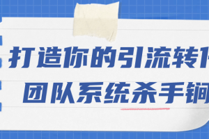 打造你的引流转化团队系统杀手锏