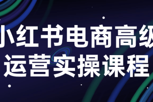 小红书电商高级运营实操课程