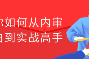 教你如何从内审小白到实战高手