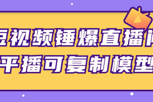 短视频锤爆直播间平播可复制模型