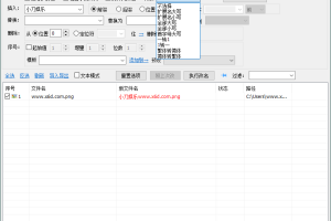 MiniRenamer批量文件重命名v2.1.8