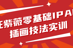 汪紫薇零基础IPAD插画技法实训