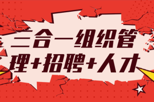 三合一组织管理+招聘+人才