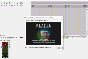 REAPER音频编辑v7.11汉化绿色版