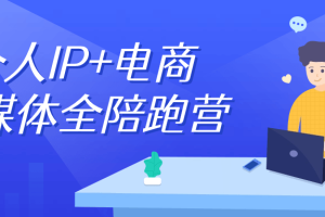 个人IP+电商自媒体全陪跑营