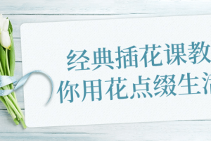 经典插花课教你用花点缀生活